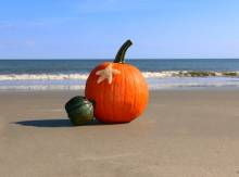 Pumpkin on the beach